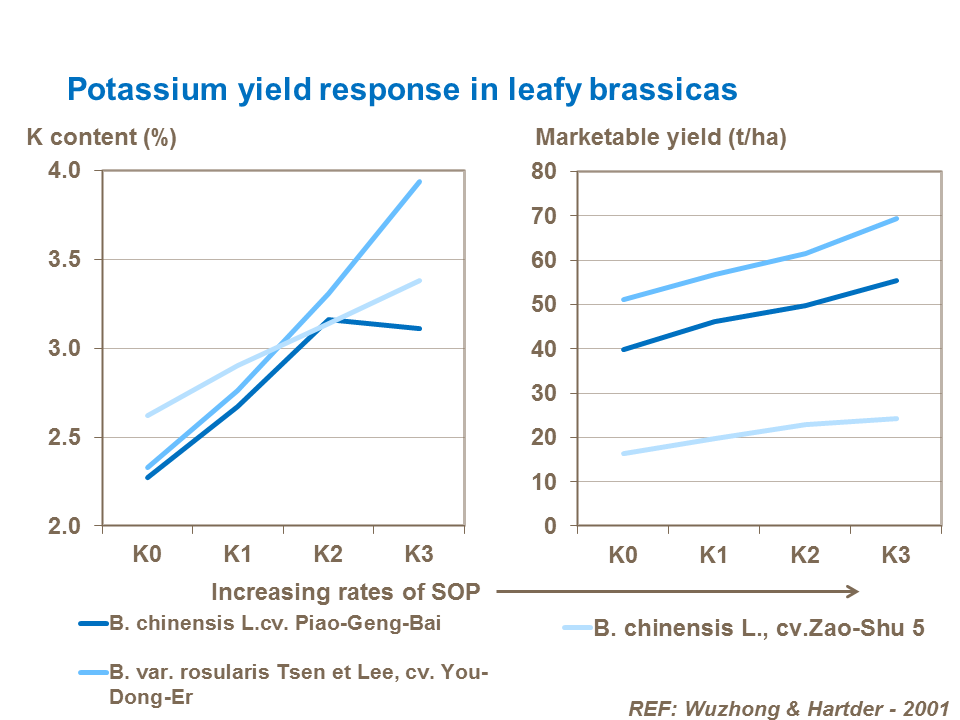 earliness 8-potassium-yield-response-in-leafy-brassicas.png