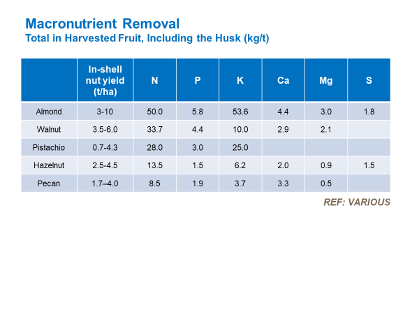 Macro rem almond new.png