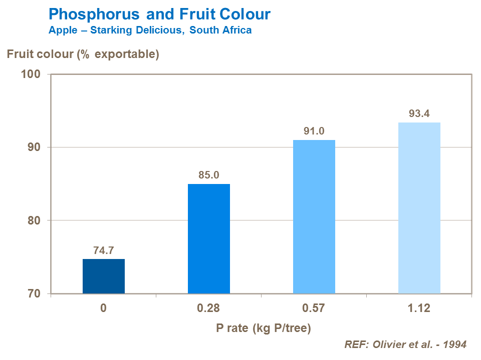 Phosphorus and fruit colour apple