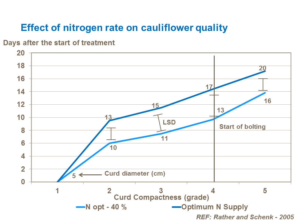 Nitrogen and Curd Compactness
