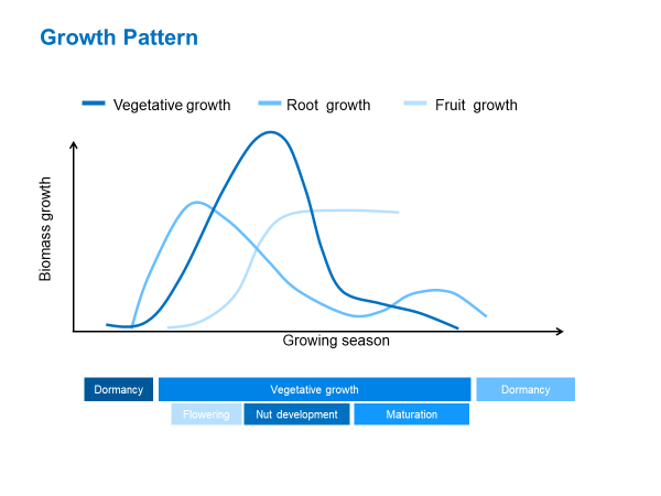 New growth pattern image.png