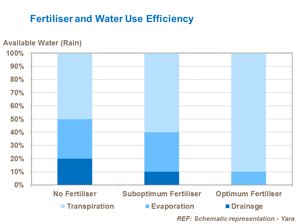 Fertiliser and water use efficiency