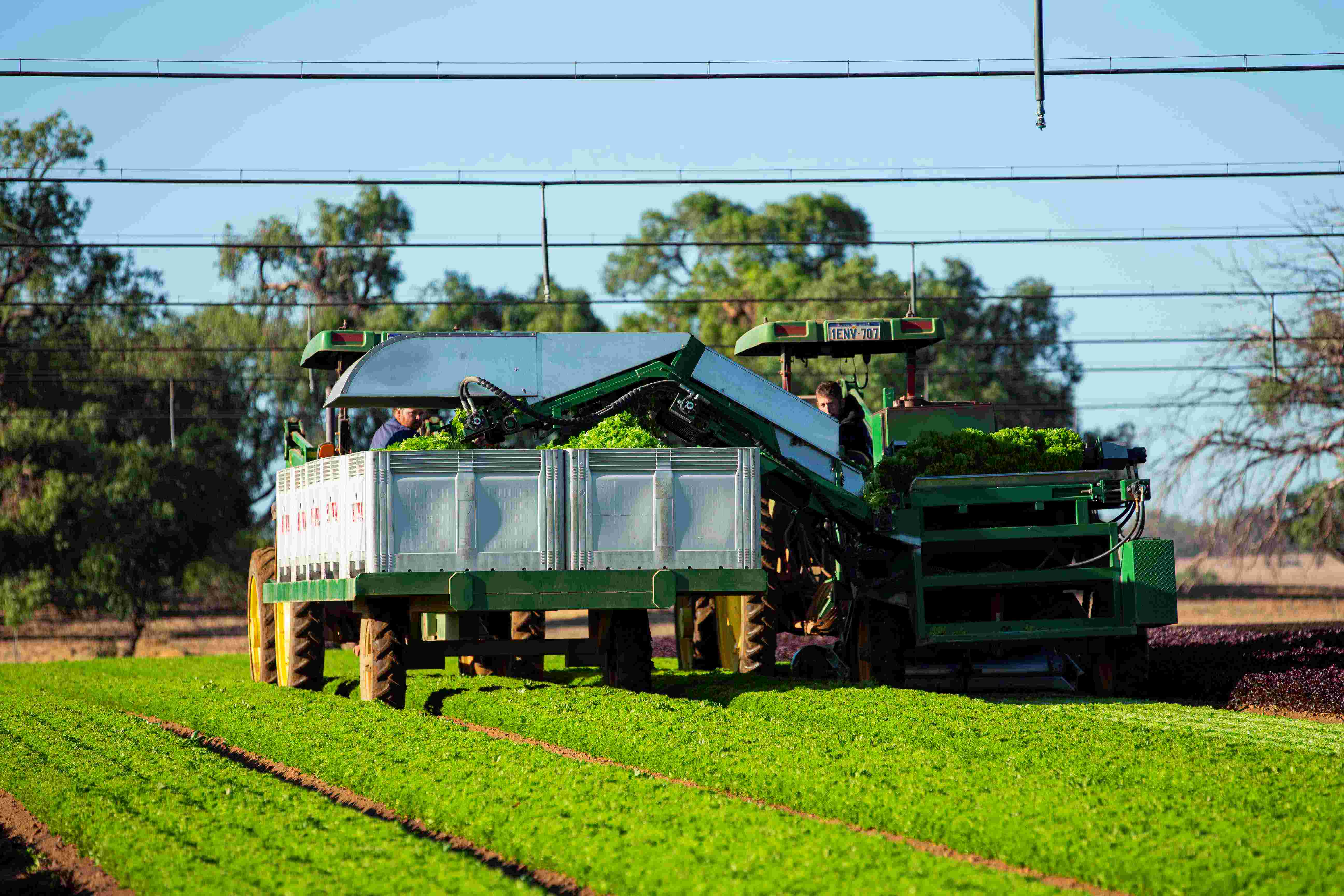 100323JWL2 copy RESIZE WEB.jpg